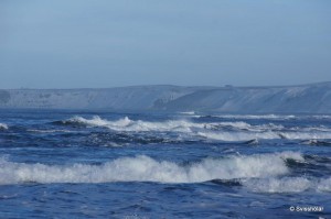 Kaldbakur Tour 2015 (11)